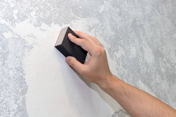 Best Mold Removal for HVAC Installations  in Goodland, IN