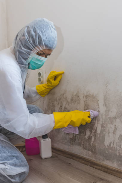 Best Indoor Air Quality Assessment  in Goodland, IN