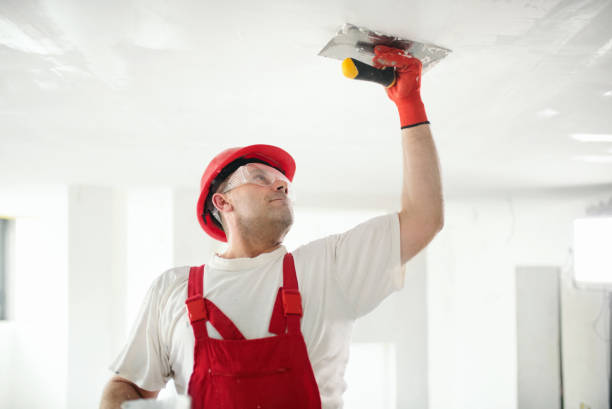 Best Emergency Mold Remediation  in Goodland, IN