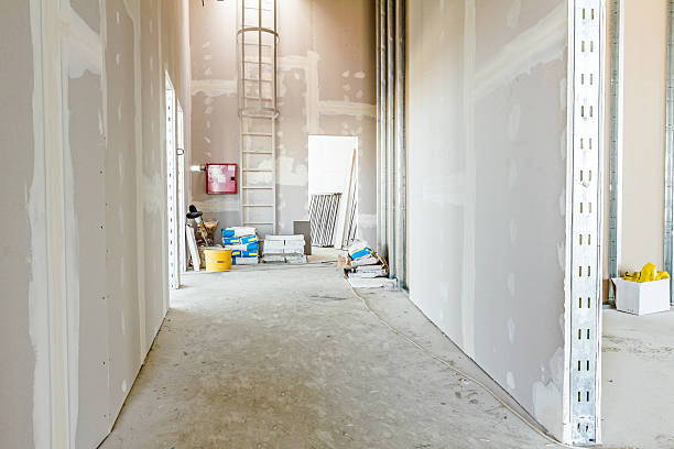 Best Mold Remediation for Healthcare Facilities  in Goodland, IN