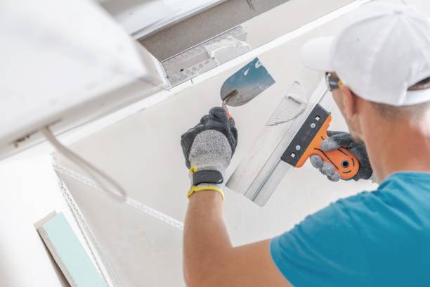Best Crawl Space Mold Remediation  in Goodland, IN